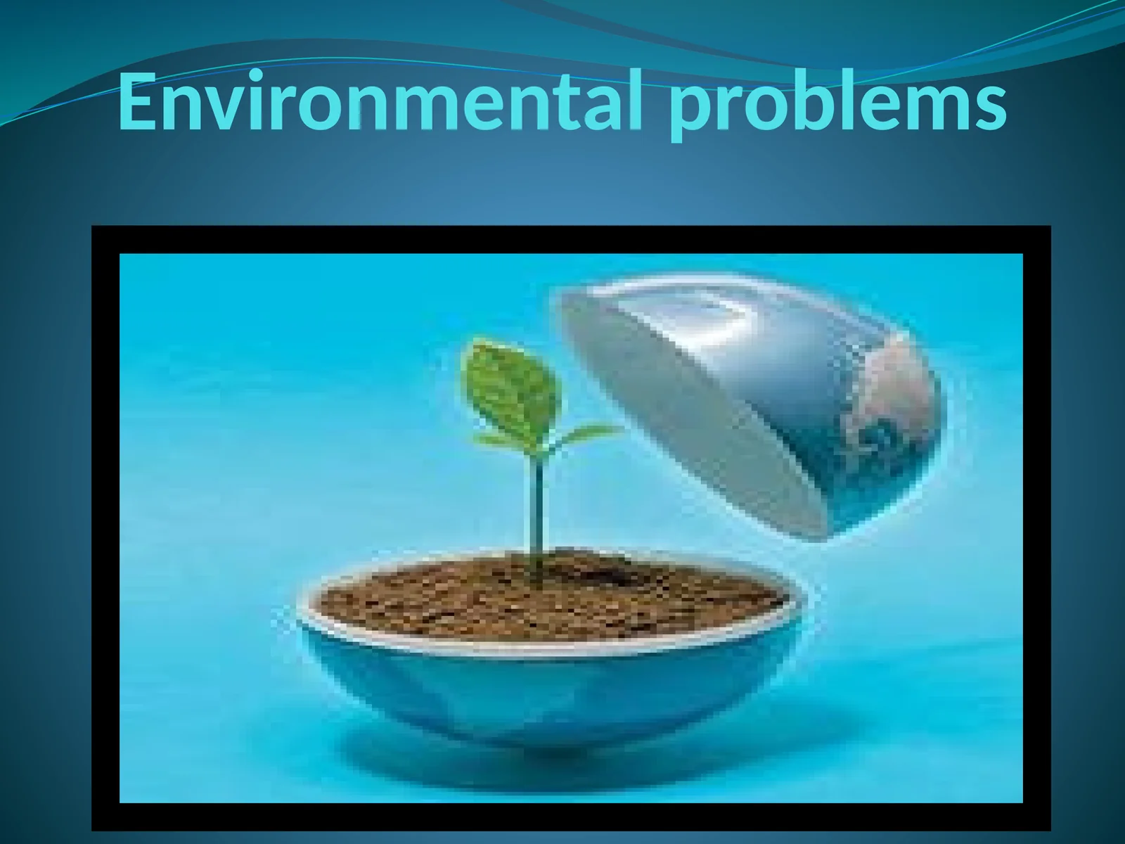Environmental problems Vocabulary