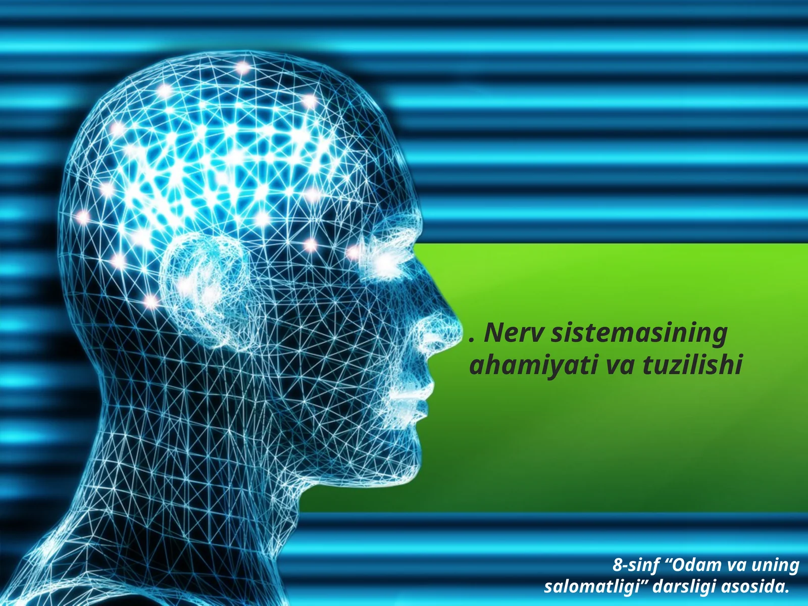Nerv sistemasining ahamiyati , tuzilishi va funksiyasi