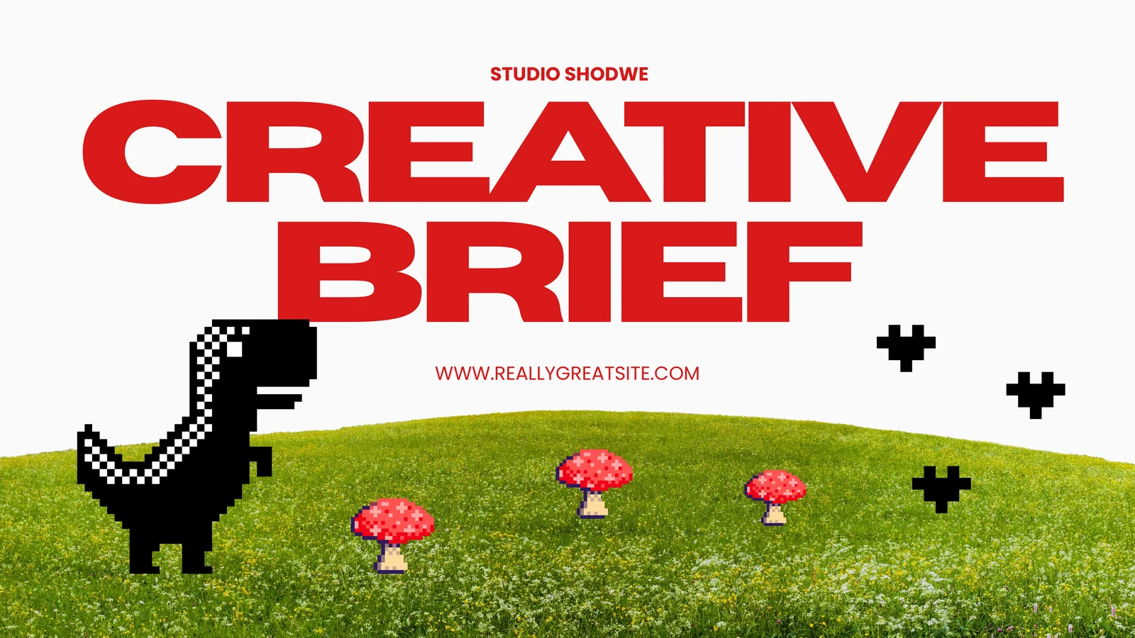 STUDIO SHODWE